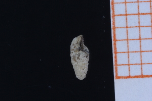  ( - GBMolST165)  @11 [ ] Unspecified (default): All Rights Reserved  Unspecified Unspecified