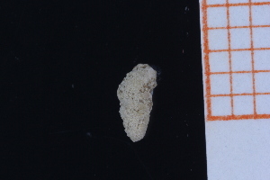  ( - GBMolST165)  @11 [ ] Unspecified (default): All Rights Reserved  Unspecified Unspecified