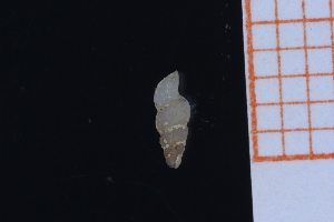  ( - GBMolST166)  @11 [ ] Unspecified (default): All Rights Reserved  Unspecified Unspecified