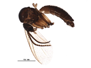  ( - BIOUG22302-C05)  @14 [ ] CreativeCommons - Attribution (2015) CBG Photography Group Centre for Biodiversity Genomics