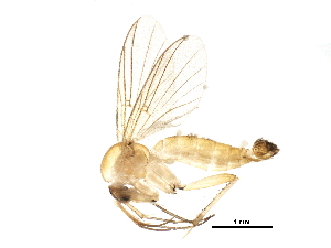  ( - BIOUG22332-H04)  @13 [ ] CreativeCommons - Attribution (2015) CBG Photography Group Centre for Biodiversity Genomics