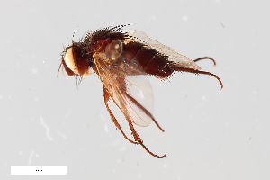  ( - ZFMK-TIS-2539019)  @11 [ ] CreativeCommons  Attribution Share-Alike (by-sa) 384 (2014) Unspecified Zoologisches Forschungsmuseum Alexander Koenig