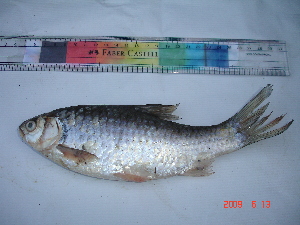  ( - PDND01)  @13 [ ] Unspecified (default): All Rights Reserved  Unspecified Unspecified