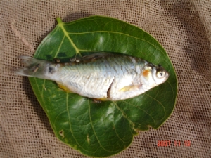  ( - CLND01)  @12 [ ] Unspecified (default): All Rights Reserved  Unspecified Unspecified
