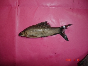  ( - CNPA02)  @12 [ ] Unspecified (default): All Rights Reserved  Unspecified Unspecified