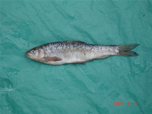  ( - TSPO05)  @12 [ ] Unspecified (default): All Rights Reserved  Unspecified Unspecified