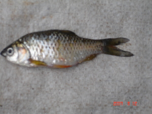  ( - LBPA02)  @12 [ ] Unspecified (default): All Rights Reserved  Unspecified Unspecified