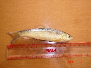  ( - TSND02)  @13 [ ] Unspecified (default): All Rights Reserved  Unspecified Unspecified