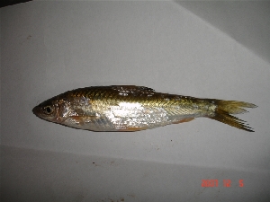  ( - TSPO03)  @13 [ ] Unspecified (default): All Rights Reserved  Unspecified Unspecified