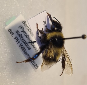  ( - KYR_298)  @11 [ ] nrr (2025) Paul H. Williams University of Mons