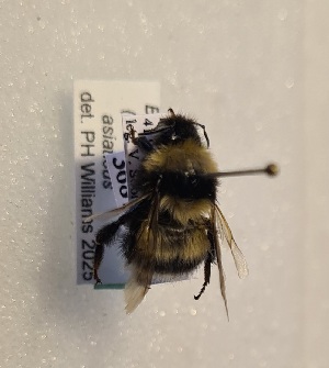  ( - KYR_665)  @11 [ ] nrr (2025) Paul H. Williams University of Mons