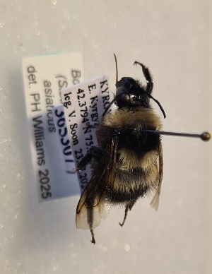  ( - KYR_672)  @11 [ ] nrr (2025) Paul H. Williams University of Mons