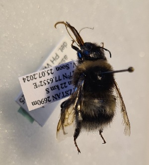  ( - KYR_679)  @11 [ ] nrr (2025) Paul H. Williams University of Mons