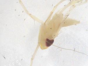  ( - CBG-B20369-D02)  @11 [ ] CreativeCommons - Attribution Share - Alike (2025) Centre for Biodiversity Genomics Centre for Biodiversity Genomics