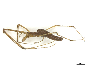  ( - CBG-B20281-H10)  @11 [ ] CreativeCommons - Attribution Share - Alike (2025) CBG Photography Group Centre for Biodiversity Genomics