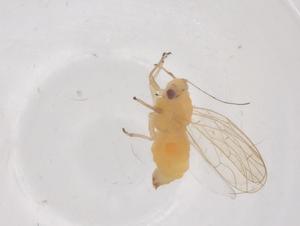  ( - CBG-B02059-C02)  @11 [ ] CreativeCommons - Attribution Share - Alike (2025) Centre for Biodiversity Genomics Centre for Biodiversity Genomics