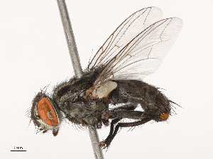  ( - CBG-B07583-D10)  @11 [ ] CreativeCommons - Attribution Share - Alike (2025) CBG Photography Group Centre for Biodiversity Genomics