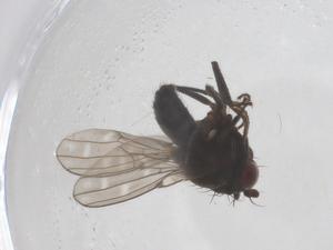  ( - CBG-B07613-E03)  @11 [ ] CreativeCommons - Attribution Share - Alike (2025) Centre for Biodiversity Genomics Centre for Biodiversity Genomics