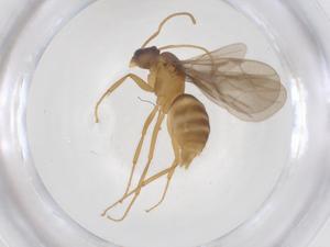  ( - CBG-B04270-B11)  @11 [ ] CreativeCommons - Attribution Share - Alike (2025) Centre for Biodiversity Genomics Centre for Biodiversity Genomics