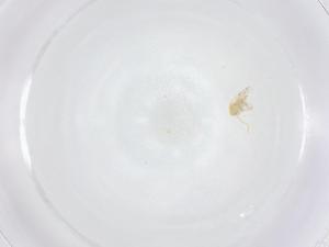  ( - CBG-B07010-B09)  @11 [ ] CreativeCommons - Attribution Share - Alike (2025) Centre for Biodiversity Genomics Centre for Biodiversity Genomics