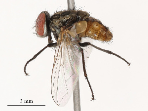  ( - CBG-B21630-H06)  @11 [ ] CreativeCommons - Attribution Share - Alike (2025) CBG Photography Group Centre for Biodiversity Genomics