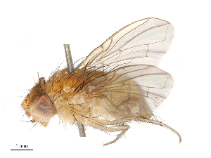  ( - CBG-B23325-E10)  @11 [ ] CreativeCommons - Attribution Share - Alike (2025) CBG Photography Group Centre for Biodiversity Genomics