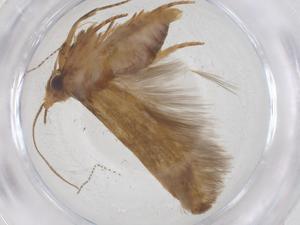  ( - CBG-B21468-F05)  @11 [ ] CreativeCommons - Attribution Share - Alike (2025) Centre for Biodiversity Genomics Centre for Biodiversity Genomics