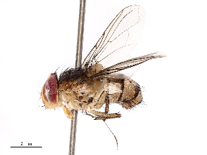  ( - CBG-B00054-E08)  @11 [ ] CreativeCommons - Attribution Share - Alike (2025) CBG Photography Group Centre for Biodiversity Genomics