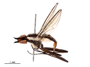  ( - CBG-B00054-F07)  @11 [ ] CreativeCommons - Attribution Share - Alike (2025) CBG Photography Group Centre for Biodiversity Genomics