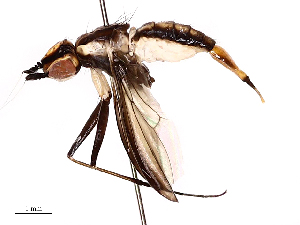  ( - CBG-B00054-F10)  @11 [ ] CreativeCommons - Attribution Share - Alike (2025) CBG Photography Group Centre for Biodiversity Genomics