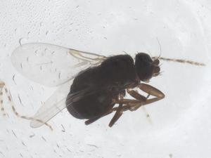  ( - CBG-B14947-E10)  @11 [ ] CreativeCommons - Attribution Share - Alike (2025) Centre for Biodiversity Genomics Centre for Biodiversity Genomics