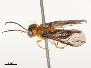  ( - CBG-B00078-C05)  @11 [ ] CreativeCommons - Attribution Share - Alike (2025) CBG Photography Group Centre for Biodiversity Genomics