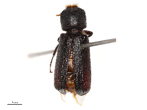  ( - CBG-B21315-C06)  @11 [ ] CreativeCommons - Attribution Share - Alike (2025) CBG Photography Group Centre for Biodiversity Genomics