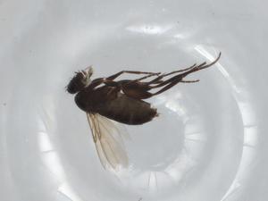  ( - BIOUG95404-D04)  @11 [ ] CreativeCommons - Attribution (2022) Centre for Biodiversity Genomics Centre for Biodiversity Genomics