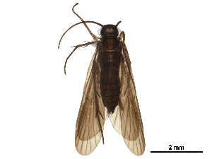  ( - BIOUG19587-H04)  @14 [ ] CreativeCommons - Attribution (2016) CBG Photography Group Centre for Biodiversity Genomics