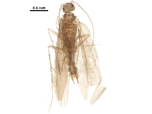  ( - BIOUG19826-E05)  @11 [ ] CreativeCommons - Attribution (2018) CBG Photography Group Centre for Biodiversity Genomics