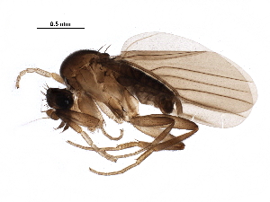  ( - BIOUG23587-B07)  @15 [ ] CreativeCommons - Attribution (2016) CBG Photography Group Centre for Biodiversity Genomics