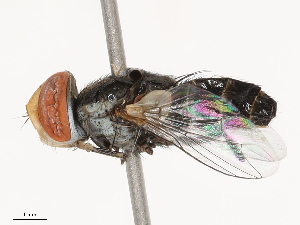  ( - CBG-B00050-E03)  @11 [ ] CreativeCommons - Attribution Share - Alike (2025) CBG Photography Group Centre for Biodiversity Genomics