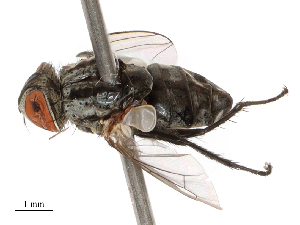  ( - CBG-B00074-C12)  @11 [ ] CreativeCommons - Attribution Share - Alike (2025) CBG Photography Group Centre for Biodiversity Genomics