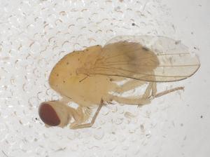  ( - CBG-B00788-A07)  @11 [ ] CreativeCommons - Attribution Share - Alike (2025) Centre for Biodiversity Genomics Centre for Biodiversity Genomics