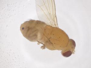  ( - CBG-B00835-H07)  @11 [ ] CreativeCommons - Attribution Share - Alike (2025) Centre for Biodiversity Genomics Centre for Biodiversity Genomics