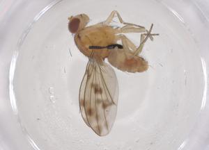  ( - CBG-B00846-B09)  @11 [ ] CreativeCommons - Attribution Share - Alike (2025) Centre for Biodiversity Genomics Centre for Biodiversity Genomics