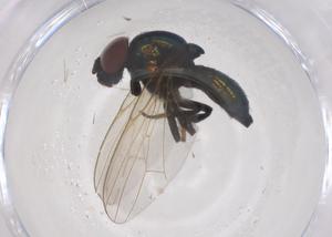  ( - CBG-B00846-F04)  @11 [ ] CreativeCommons - Attribution Share - Alike (2025) Centre for Biodiversity Genomics Centre for Biodiversity Genomics