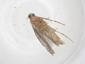  ( - CBG-B00862-A02)  @11 [ ] CreativeCommons - Attribution Share - Alike (2025) Centre for Biodiversity Genomics Centre for Biodiversity Genomics