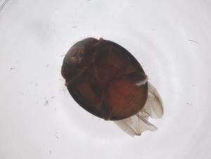  ( - CBG-B01328-H03)  @11 [ ] CreativeCommons - Attribution Share - Alike (2025) Centre for Biodiversity Genomics Centre for Biodiversity Genomics