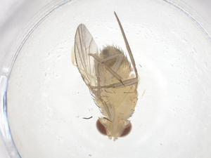  ( - CBG-B01539-D01)  @11 [ ] CreativeCommons - Attribution Share - Alike (2025) Centre for Biodiversity Genomics Centre for Biodiversity Genomics