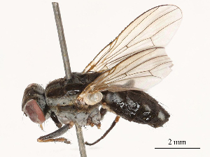  ( - CBG-B01641-D09)  @11 [ ] CreativeCommons - Attribution Share - Alike (2025) CBG Photography Group Centre for Biodiversity Genomics