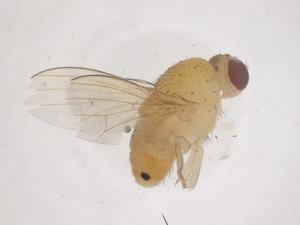  ( - CBG-B02260-A07)  @11 [ ] CreativeCommons - Attribution Share - Alike (2025) Centre for Biodiversity Genomics Centre for Biodiversity Genomics