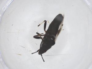  ( - CBG-B02262-F05)  @11 [ ] CreativeCommons - Attribution Share - Alike (2025) Centre for Biodiversity Genomics Centre for Biodiversity Genomics