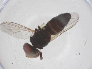  ( - CBG-B02916-E10)  @11 [ ] CreativeCommons - Attribution Share - Alike (2025) Centre for Biodiversity Genomics Centre for Biodiversity Genomics